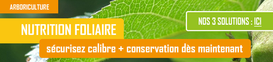 SLIDE A - NUTRITION FOLIAIRE