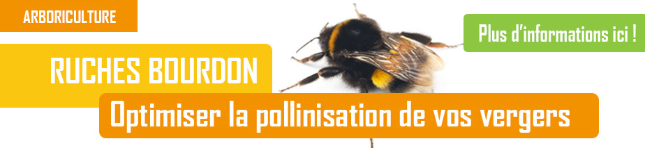 SLIDE - A - RUCHES BOURDON