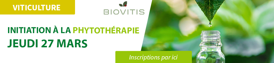 slide_initiation_phytotherapie