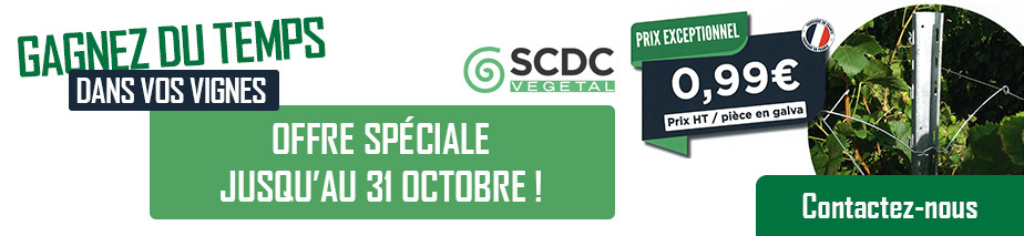 SLIDE_V-SCDC