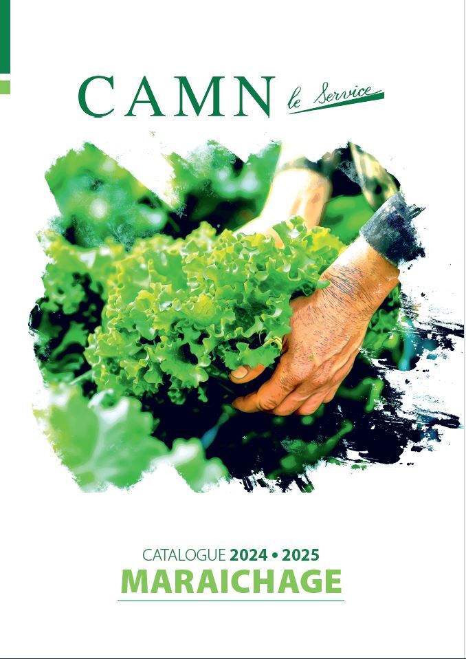 vignette catalogue mara 2025