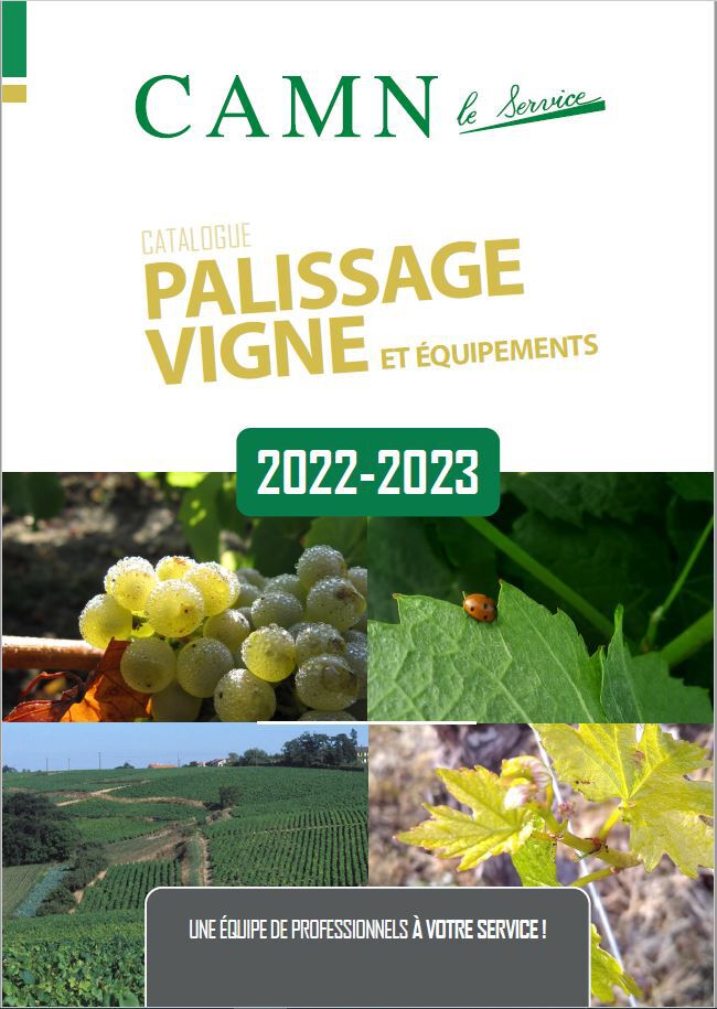 vignette catalogue vigne palissage 2023