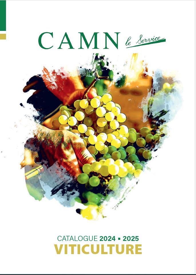 vignette catalogue viti 2025