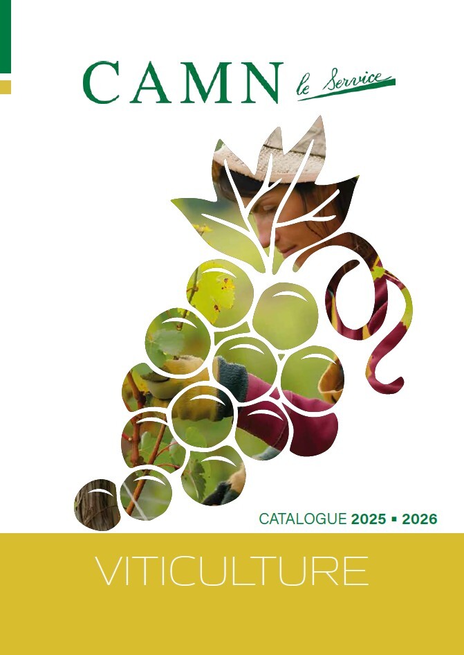 vignette_catalogue_VITI_2026