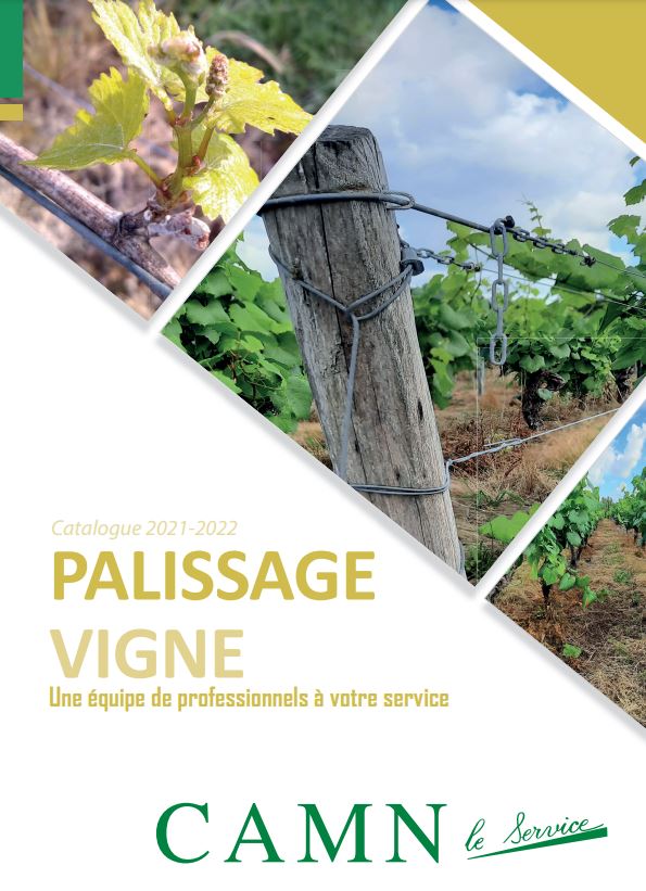 Vignette Catalogue vignes palissage 2022